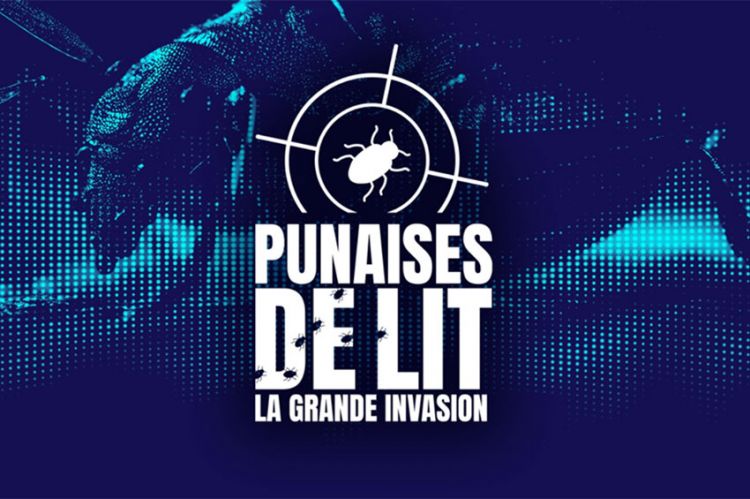 &quot;Punaises de lit : la grande invasion&quot; à voir sur C8 mardi 24 octobre 2023