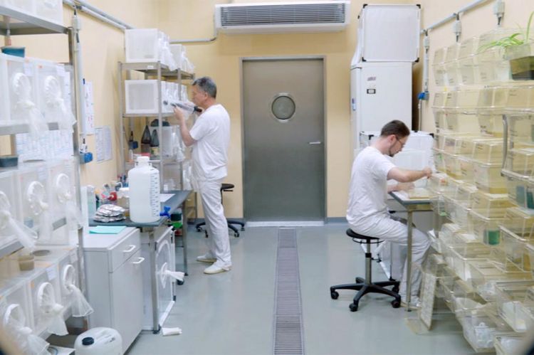 « Virus et épidémies : l’île-laboratoire », samedi 15 mai sur ARTE