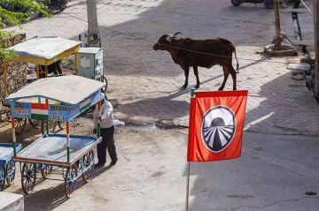 "Pékin Express" : 3ème étape samedi 28 septembre 2024 sur M6, retour du drapeau rouge ! (vidéo)
