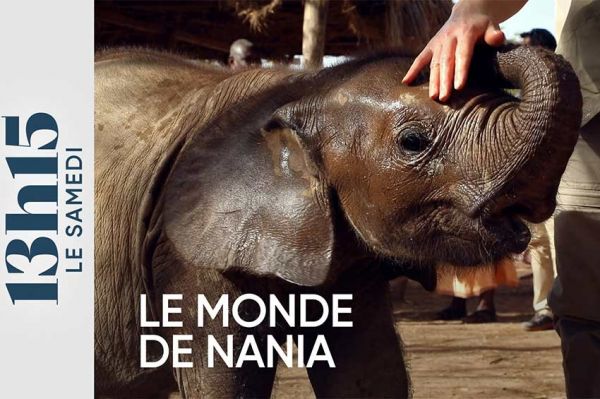 Sommaire de "13h15 le samedi" du 6 juillet 2024 sur France 2 : Le monde de Nania / L'anniversaire du chef