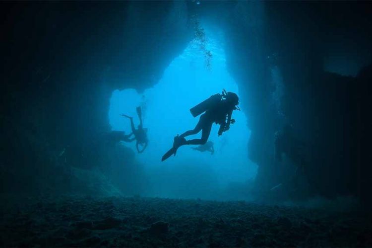 « Abysses, la conquête des fonds marins » lundi 27 décembre sur RMC Découverte