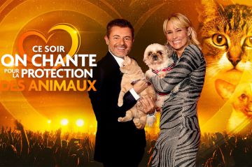 "Ce soir on chante pour la protection des animaux" le 17 août 2024 sur W9, les artistes présents
