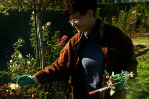 “Reportages découverte” à la rencontre de 5 mordus de jardinage, dimanche 5 avril sur TF1