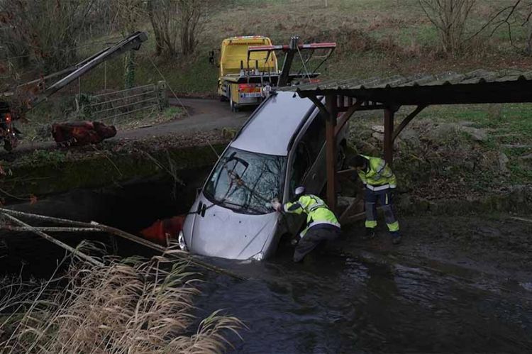 « Immersion dans une méga fourrière » : la saison 2 diffusée sur RMC Story à partir du 3 mars