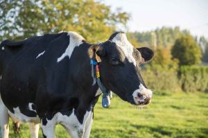 “L'amour est dans le pré” : épisodes 3 &amp; 4 lundi 2 septembre sur M6, voici ce qui va se passer (vidéo)