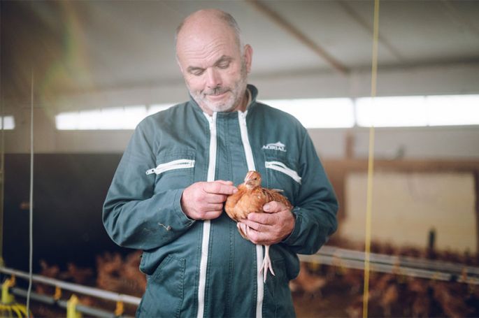 &quot;L&#039;amour est dans le pré&quot; : découvrez Pierrick, éleveur laitier et de volailles, agriculteur de la saison 20 sur M6