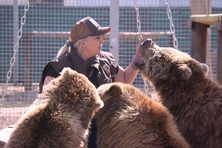 « La Tanière, le zoo-refuge de l’espoir » : nouveau volet inédit samedi 27 novembre sur C8