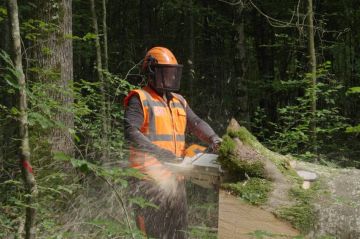 « Bûcherons : un métier à hauts risques », épisode 3, mercredi 5 octobre 2022 sur RMC Découverte