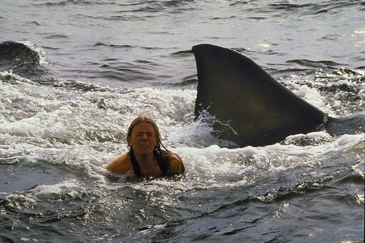 Soirée &quot;Les dents de la mer&quot;, les 3 films rediffusés sur France 3 lundi 30 juin 2025 (vidéo)