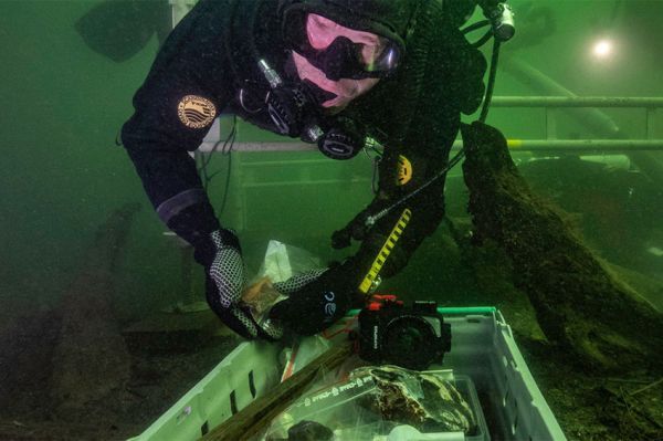 "Un navire de guerre médiéval : Le Gribshunden" livre ses secrets sur ARTE samedi 2 décembre 2023