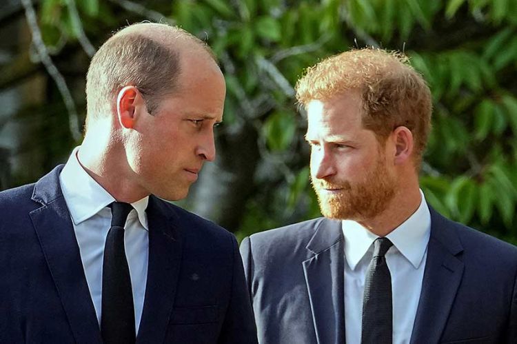 "William et Harry, de l'amour à la haine" : document inédit sur sur C8 vendredi 28 avril 2023