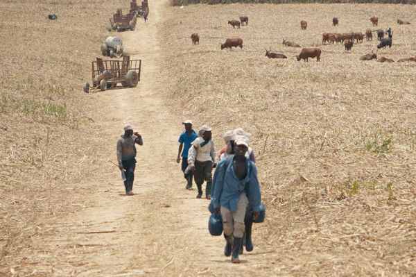 "Le sucre, pour la douceur et pour le pire" sur Arte mardi 7 octobre 2025