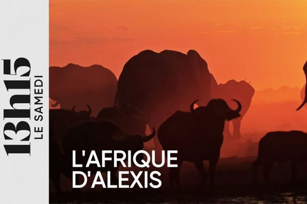 L'Afrique d'Alexis Fourneau dans "13h15 le samedi" ce 31 août 2024 sur France 2