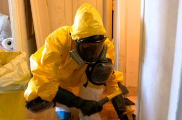 "Métiers hors normes - Les nettoyeurs de l'extrême" sur RMC Story jeudi 23 novembre 2023 - Vidéo