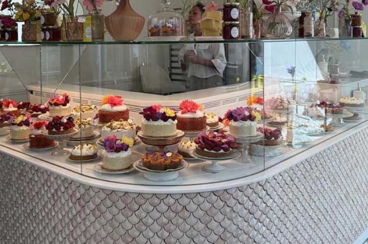 "Reportages découverte" : La pâtisserie : un peu, beaucoup, à la folie, dimanche 21 décembre 2025 sur TF1