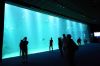 « Nausicaa, le plus grand aquarium d&#039;Europe » mardi 26 juillet sur RMC Découverte (vidéo)