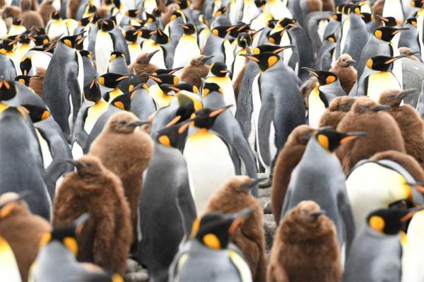 « La révolution de la terre » à découvrir sur France 5 lundi 9 septembre 2024 (vidéo)