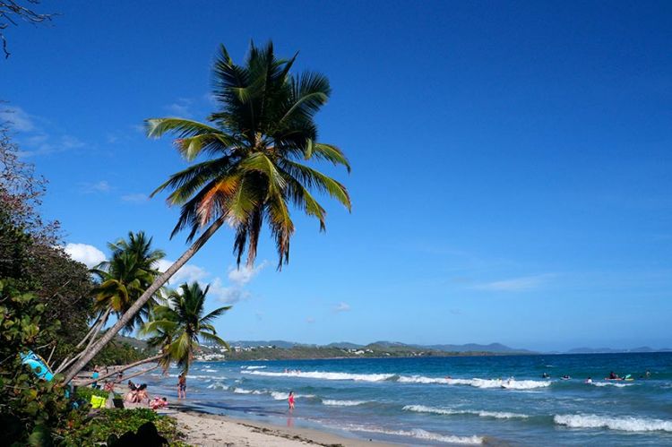 “Echappées Belles” : « Martinique, cœur caraïbes », samedi 24 octobre sur France 5 (vidéo)