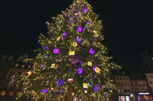 “Reportages découverte” « Noël : les rois de la déco », samedi 12 décembre sur TF1