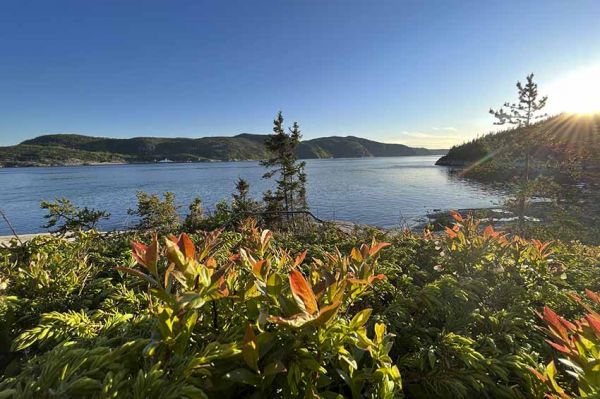 “Au bout c'est la mer” : « Le fleuve Saint-Laurent au Canada » mardi 30 août sur France 5 (vidéo)