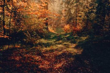 "Voir l'automne, une saison en France" à découvrir sur France 2 mardi 21 octobre 2025