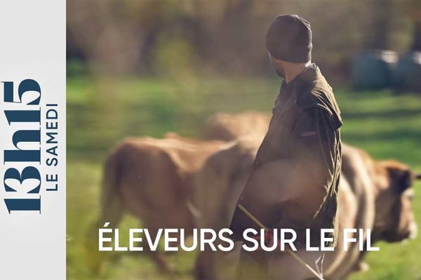 "13h15 le samedi" : Eleveurs sur le fil, rencontre avec des jeunes agriculteurs du Lot ce 22 février 2025 sur France 2