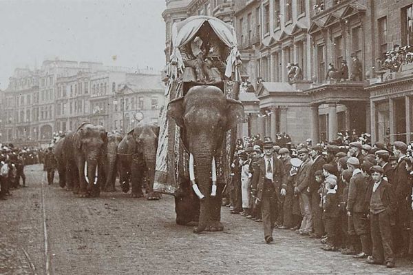 « La tragique histoire de Fritz l'éléphant » sur ARTE samedi 14 septembre 2024