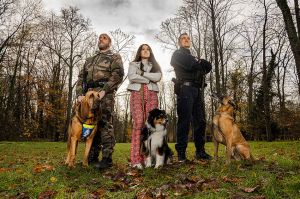 “3 chiens héros” : nouvelle série documentaire à découvrir sur C8 vendredi 13 mars