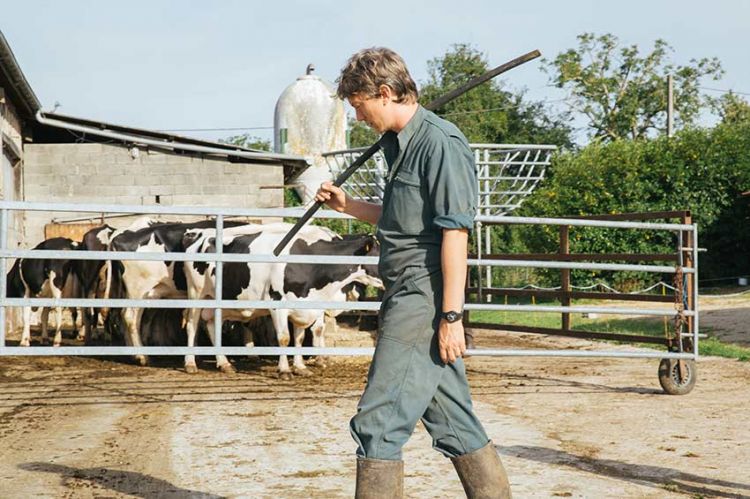 Le film &quot;Petit paysan&quot; d'Hubert Charuel à revoir sur France 5 lundi 6 mai 2024 (vidéo)