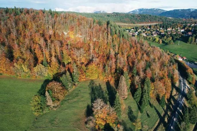 &quot;Sale temps pour la planète&quot; dans le Jura, un massif sous pression, lundi 2 juin 2025 sur France 5 (vidéo)