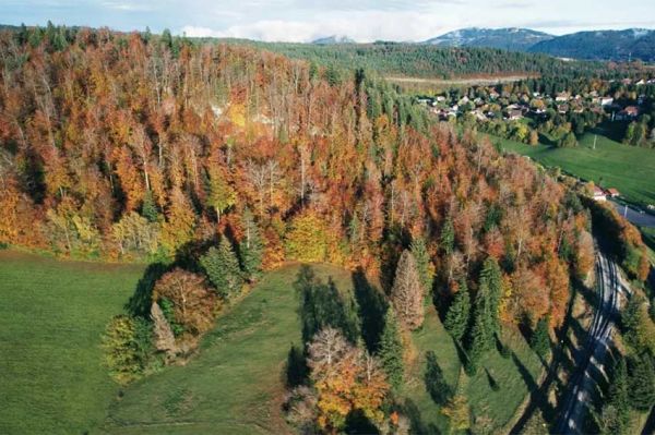 "Sale temps pour la planète" dans le Jura, un massif sous pression, lundi 2 juin 2025 sur France 5 (vidéo)