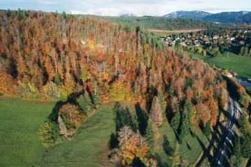 &quot;Sale temps pour la planète&quot; dans le Jura, un massif sous pression, lundi 2 juin 2025 sur France 5 (vidéo)