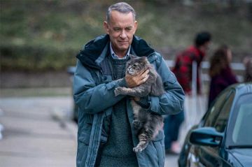 Inédit  "Le pire voisin au monde" avec Tom Hanks diffusé sur TF1 dimanche 9 mars 2025 (vidéo)