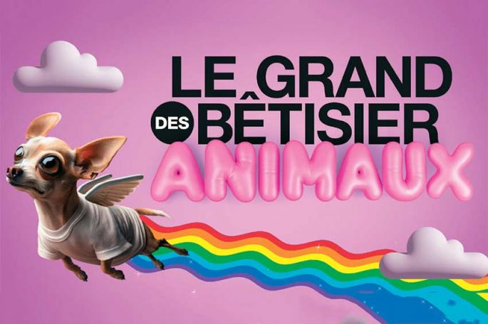 &quot;Le grand bêtisier des animaux&quot; sur Gulli lundi 1er avril 2024