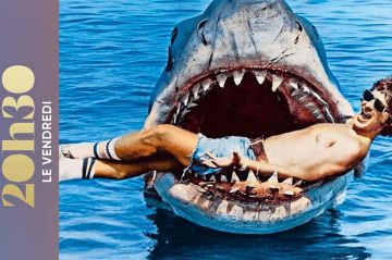 &quot;20h30 le vendredi&quot;, retour sur « Les dents de la  mer » le premier blockbuster ce 20 juin 2025 sur France 2