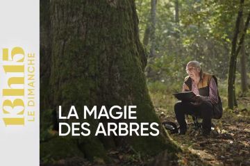 &quot;13h15 le dimanche&quot; voyage au cœur de la magie des arbres ce 20 avril 2025 sur France 2