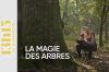 &quot;13h15 le dimanche&quot; voyage au cœur de la magie des arbres ce 20 avril 2025 sur France 2