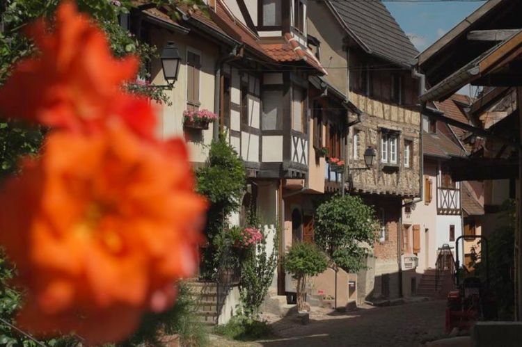 “Grands Reportages” : « Un été pas comme les autres… en Alsace », samedi 19 septembre sur TF1