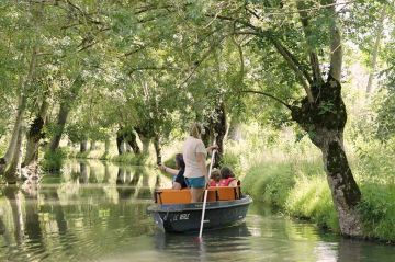 “La ligne bleue” : « Julien, le marais et la libellule » lundi 5 décembre 2022 sur France 3