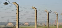70ème anniversaire de la libération des camps d&#039;Auschwitz : programmation spéciale sur France 2