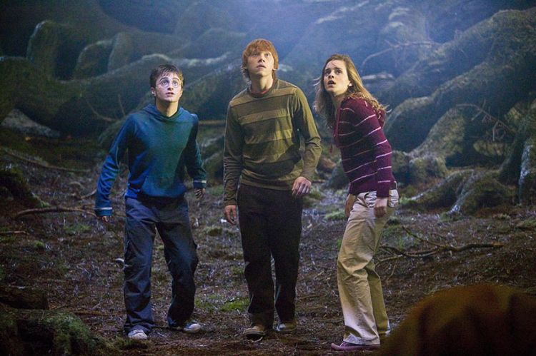 "Harry Potter et l'Ordre du Phénix" à revoir sur TF1 mardi 28 novembre 2023 - Vidéo