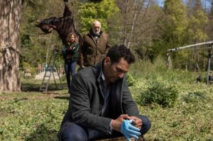 “Balthazar” saison 4 : épisode 5 « Dernier recours » jeudi 24 mars sur TF1