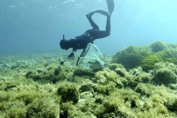 “Thalassa” : « Femmes des océans » dimanche 30 octobre 2022 sur France 3