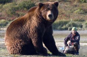 « L&#039;ours en moi », immersion au plus près des grizzlis, samedi 18 décembre sur ARTE (vidéo)