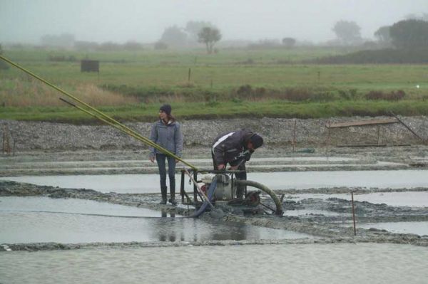 "Reportages découverte" : « Les enfants du marais » samedi 15 avril 2023 sur TF1 - Vidéo