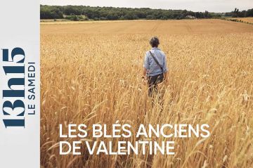 &quot;13h15 le samedi&quot; : Les blés anciens de Valentine ce 17 mai 2025 sur France 2