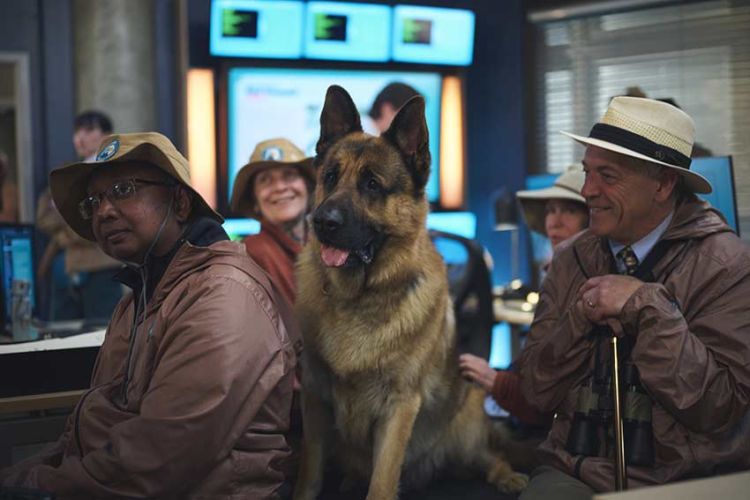 "Hudson et Rex" saison 7, résumé des épisodes diffusés sur France 3 dimanche 12 juillet 2026