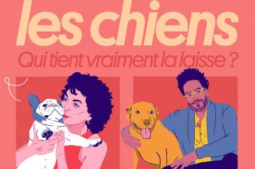 &quot;Le doc Quotidien&quot; : Les chiens, qui tient vraiment la laisse ? Mardi 19 novembre 2024 sur TMC