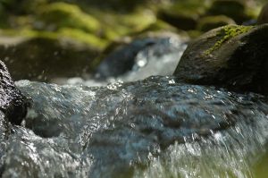 « France terre sauvage - l&#039;eau vive », lundi 13 septembre sur France 5 (vidéo)