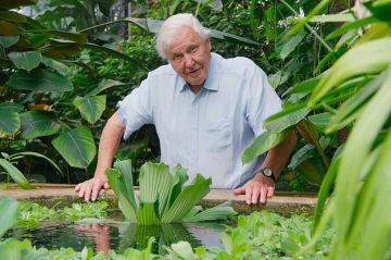 “Les superpouvoirs des plantes” sur France 5 : deux inédits diffusés lundi 9 janvier 2023 (vidéo)